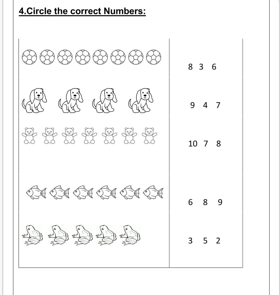 Count & Match